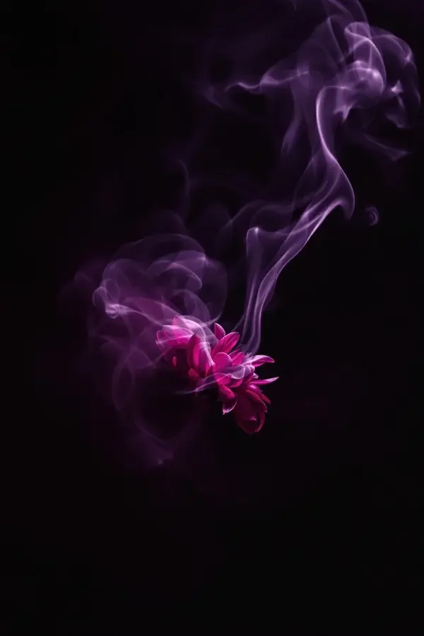 黄果漫剧在线《影子与星辰》短剧封面